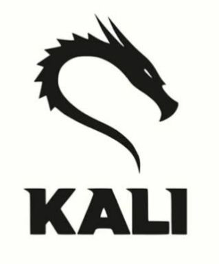 Kali Linux Live USB with  100GB Persistent Storage.  Bootable Operating System for Security/Pentesting/Hacking