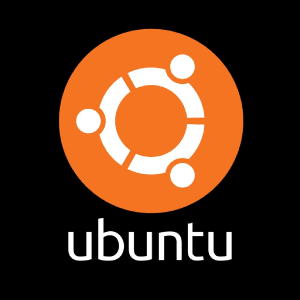 Ubuntu Desktop 24.04.01 USB Try/Install Live Linux Operating System